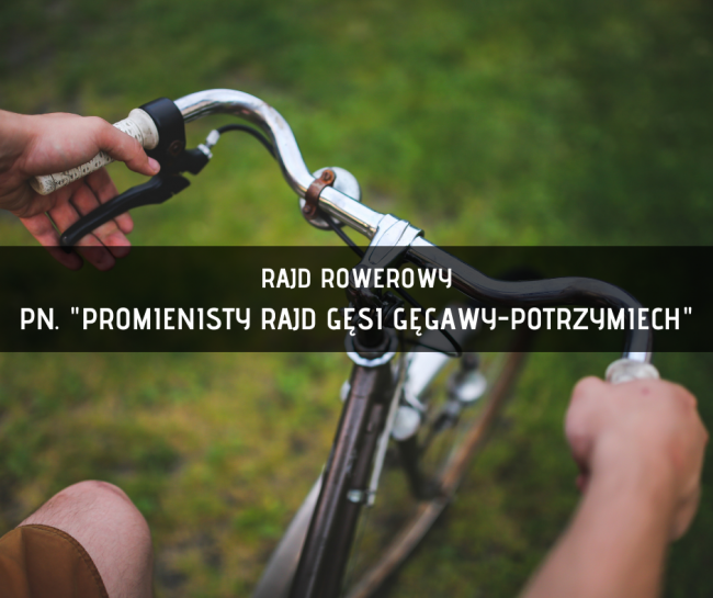 Promienisty rajd gęsi gęgawy - Potrzymiech