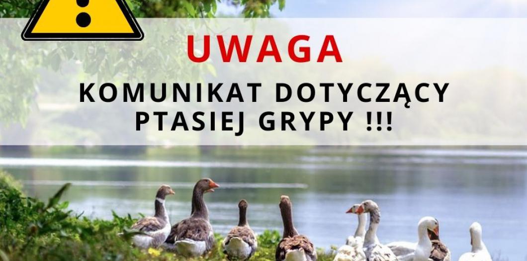 UWAGA! KOMUNIKAT DOTYCZĄCY PTASIEJ GRYPY!